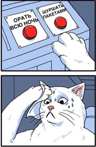 Трудный выбор кота