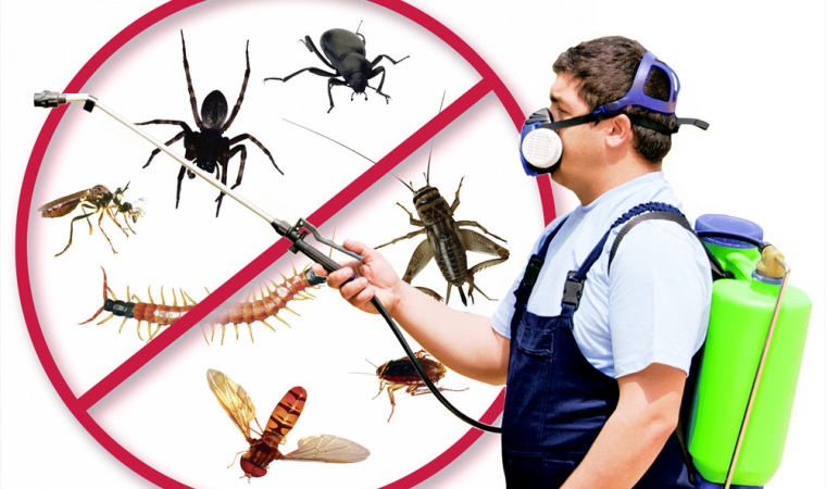 Эффективная борьба с насекомыми