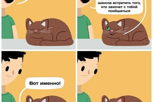 Коты гуляют ночью