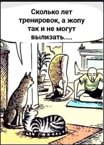 Не могут вылизать жопу