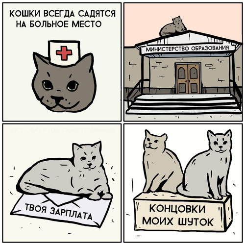 Кошки всегда садятся на больное место