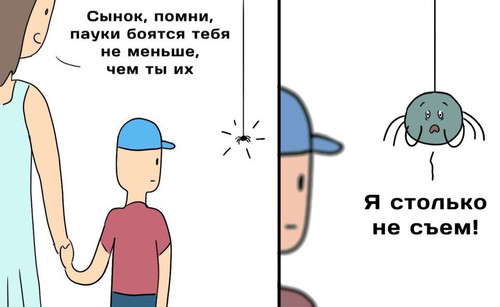 Пауки боятся людей