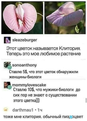 Клитория