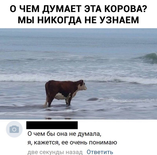 О чем думает корова