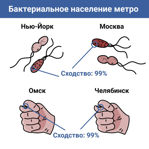 Бактерии в метро мегаполисов