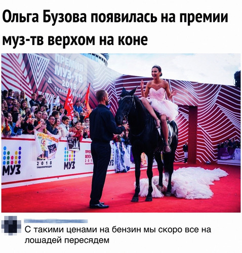 Ольга БОльга Бузова на конеузова на коне