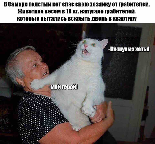 Вжух из хаты!