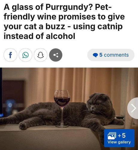 Вино для кошек