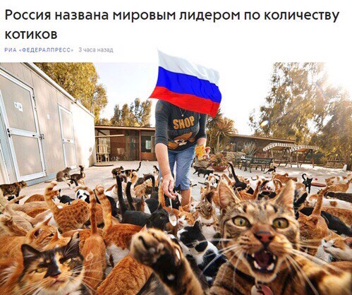 Россия лидер по котам