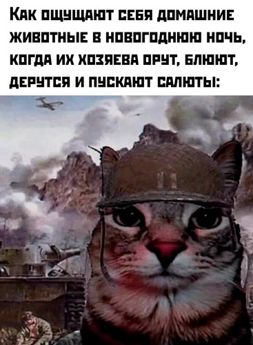 Домашние животные на Новый Год
