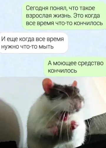 Что такое взрослая жизнь