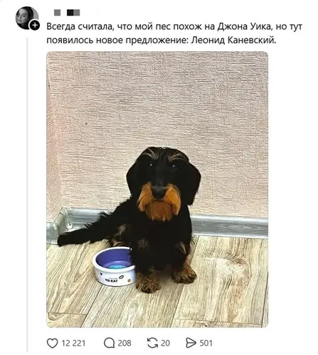 Пёс Леонид Каневский