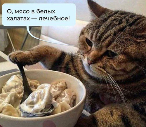 Мясо в белых халатах