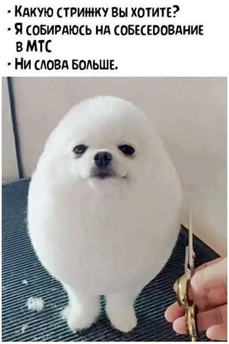 Собеседование в МТС