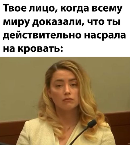 Насрала на кровать