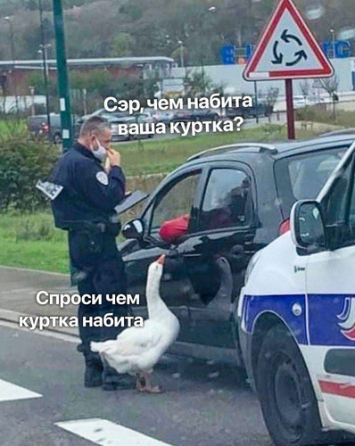 Чем куртка набита