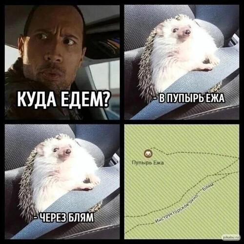 В Пупырь Ежа через Блям