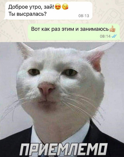 Ты высралась?