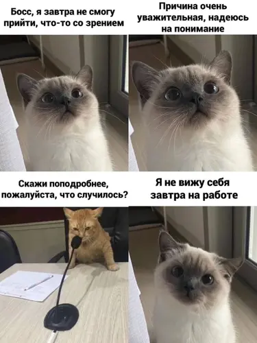Я не вижу себя завтра на работе
