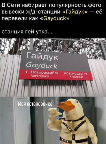 Гайдук Gayduck