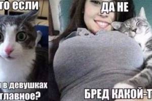 сиськи