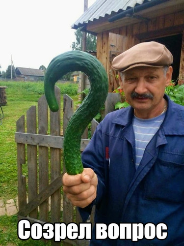 Созрел вопрос