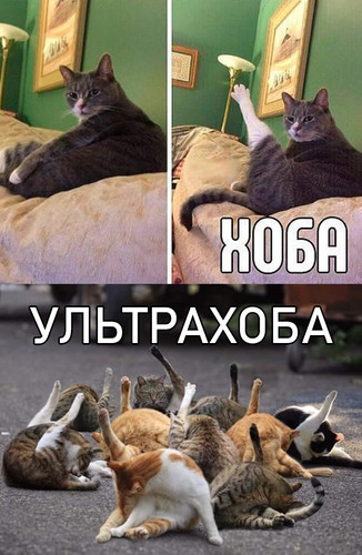 Ультрахоба