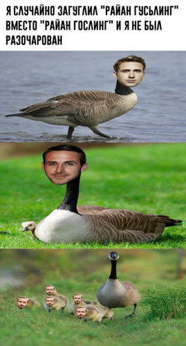 Райан Гусьлинг