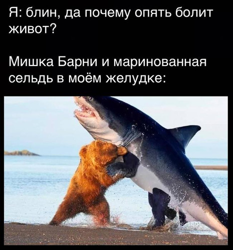 Мишка Барни и маринованная сельдь