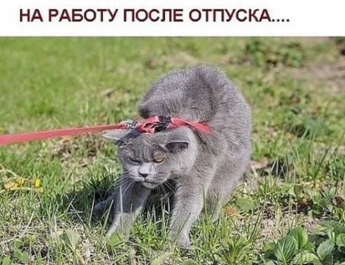 На работу после отпуска