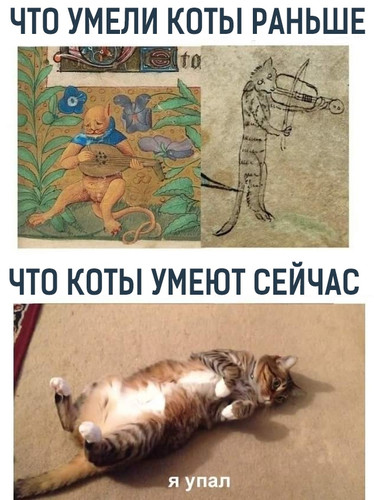 Что умели коты раньше