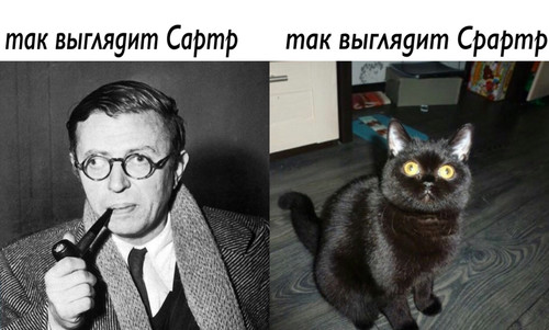 Так выглядит Сратр