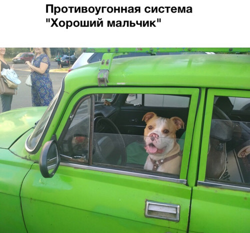 Хороший мальчик