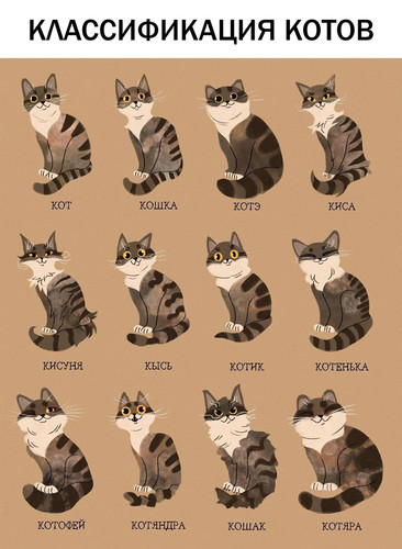 Классификация котов
