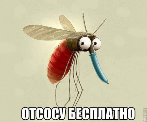 Отсосу бесплатно