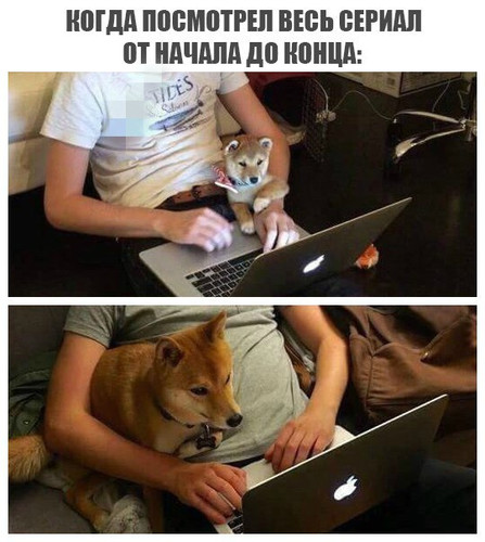 Когда посмотрел весь сериал от начала до конца