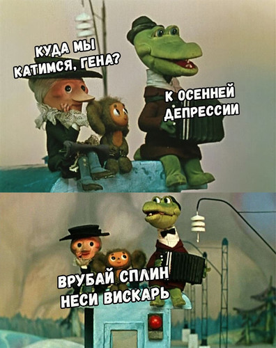 Куда мы катимся