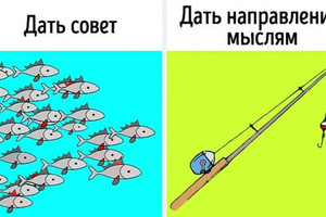 Дать совет