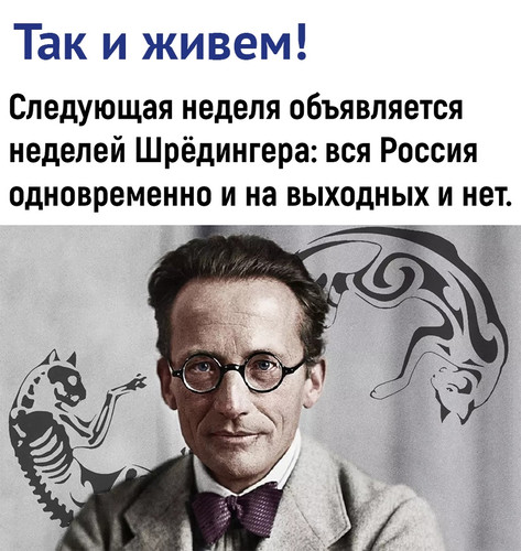 Неделя Шрёдингера