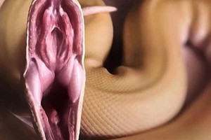 Почему девушек сравнивают со змеями