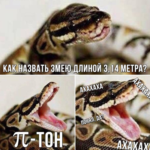 Пи-тон