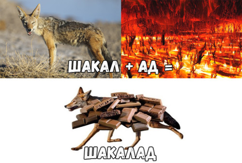 Шакал + ад