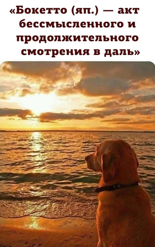 Бокетто