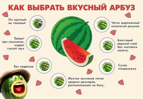 Как выбрать арбуз