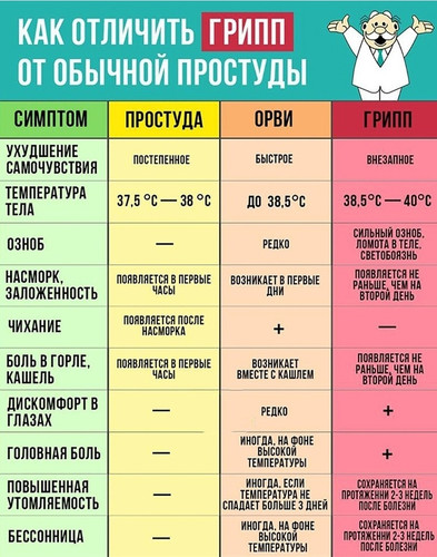 Как отличить грипп от простуды