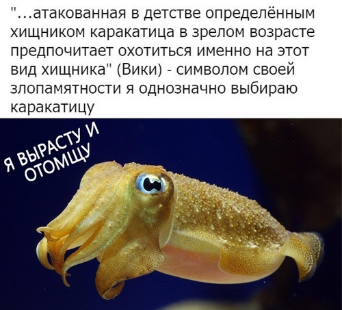 Я вырасту и отомщу