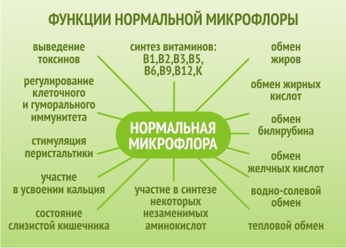 Функции нормальной микрофлоры