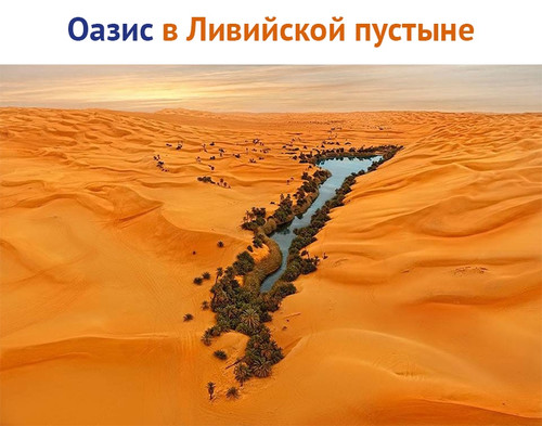 Оазис в Ливийской пустыне