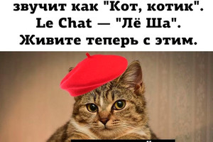 Лёша Le Chat котик