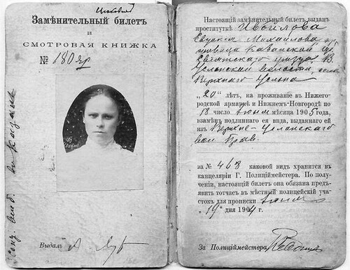 Удостоверение нижегородской проститутки